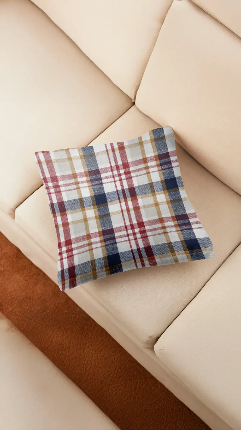 Check Cushion