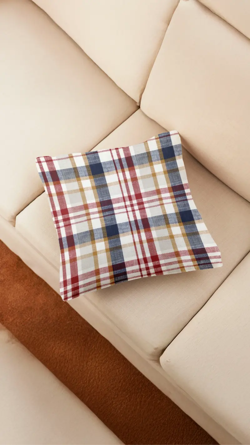 Check Cushion
